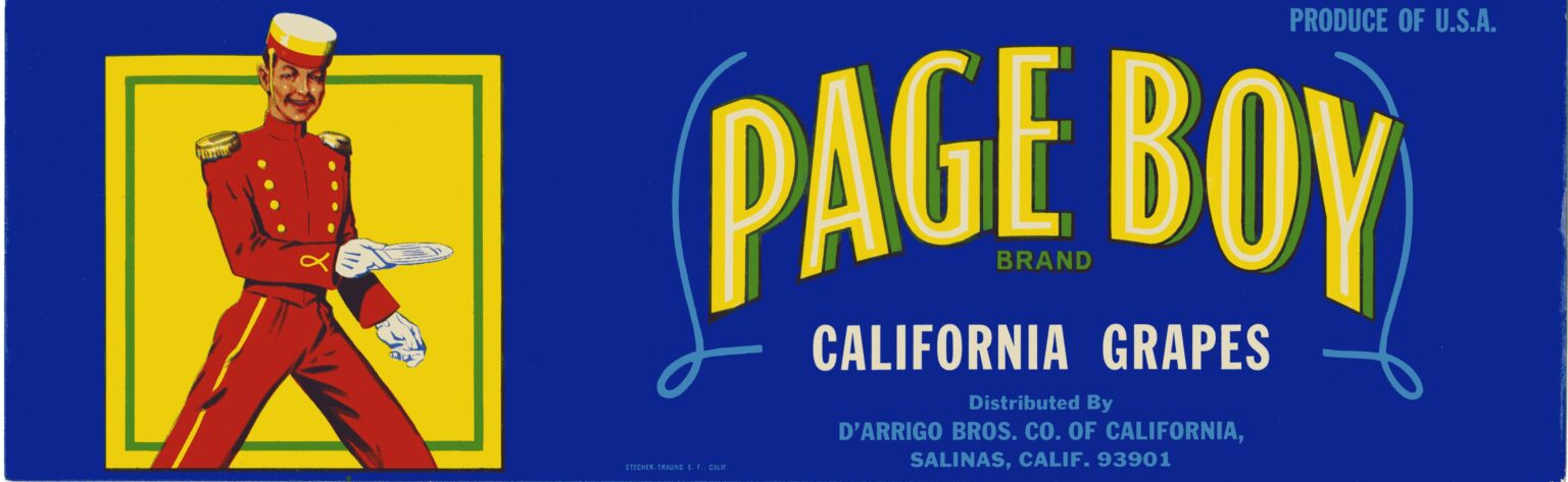 Page Boy